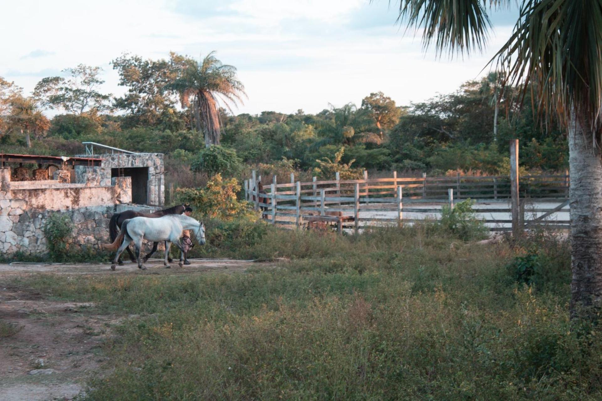 Casitas At Rancho Kuxtal Βίλα Tizimin Εξωτερικό φωτογραφία