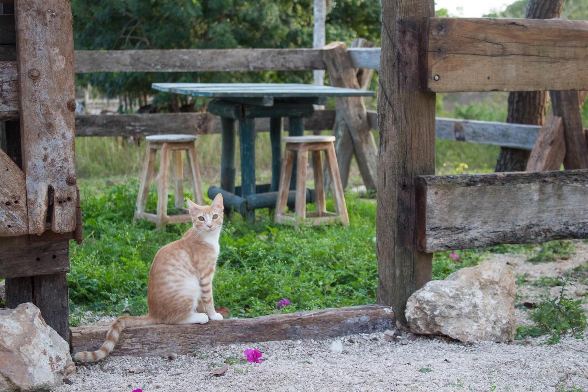 Casitas At Rancho Kuxtal Βίλα Tizimin Εξωτερικό φωτογραφία